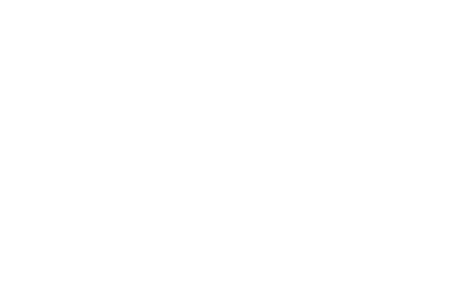 Logo Bad Schönau weiß