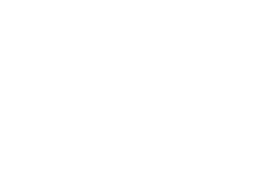 Logo BBS Weyer weiß
