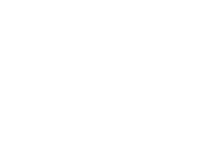 Logo Hundertwasser weiß