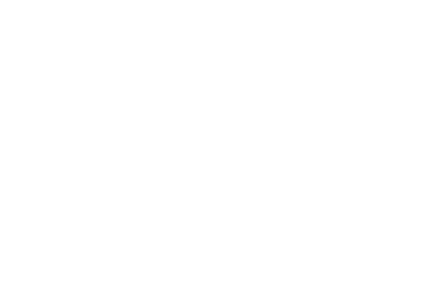 Logo MPA weiß