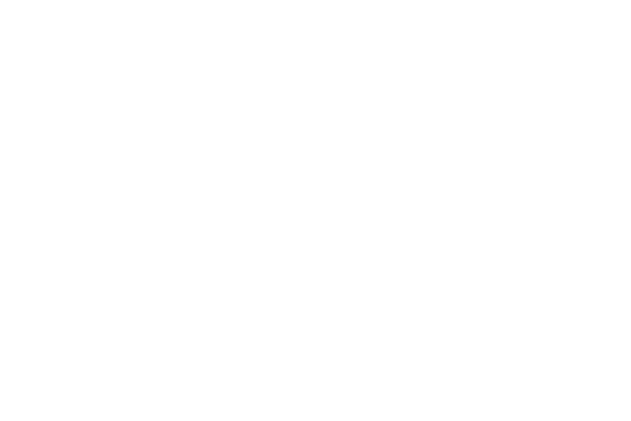 Logo Musikakademie Passau