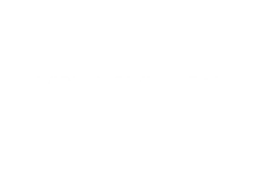 Logo Vi2Mi